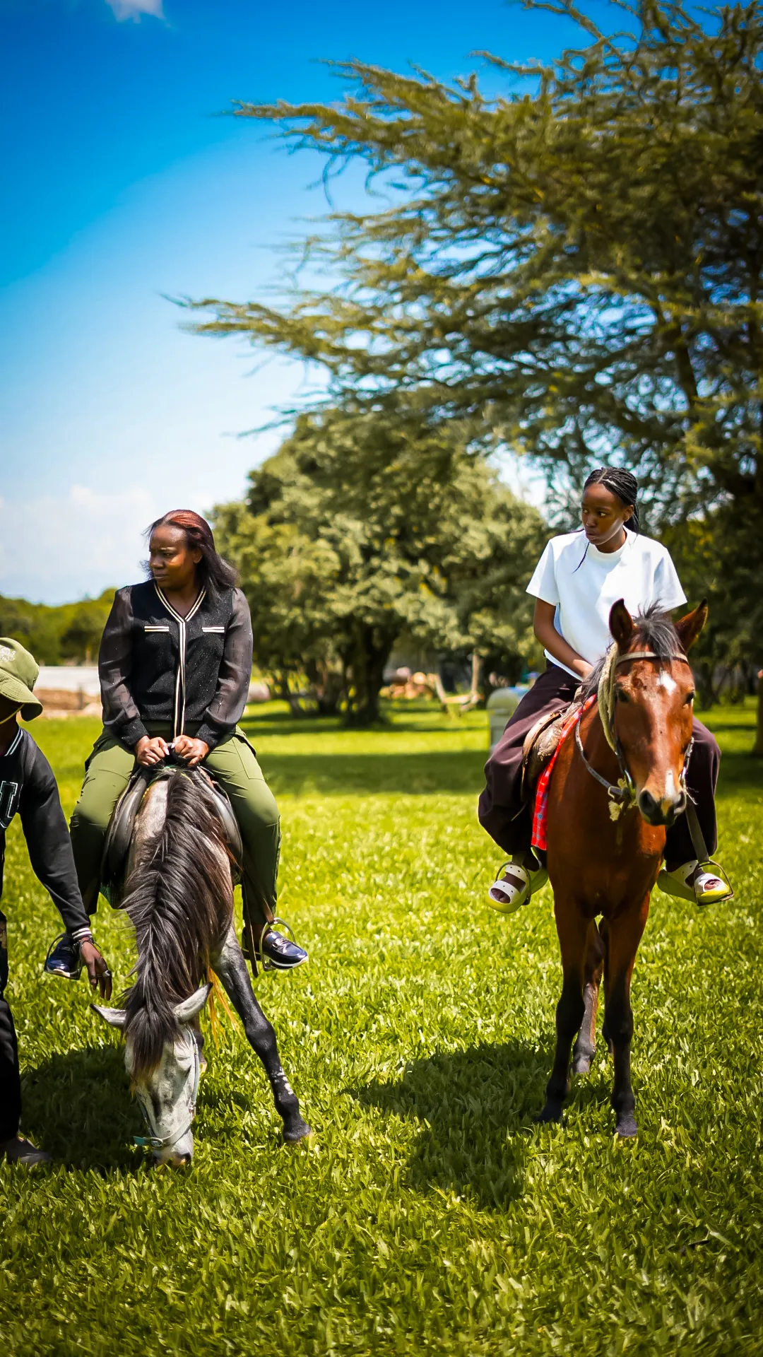 Guests riding on horseback through the acacias of Laikipia