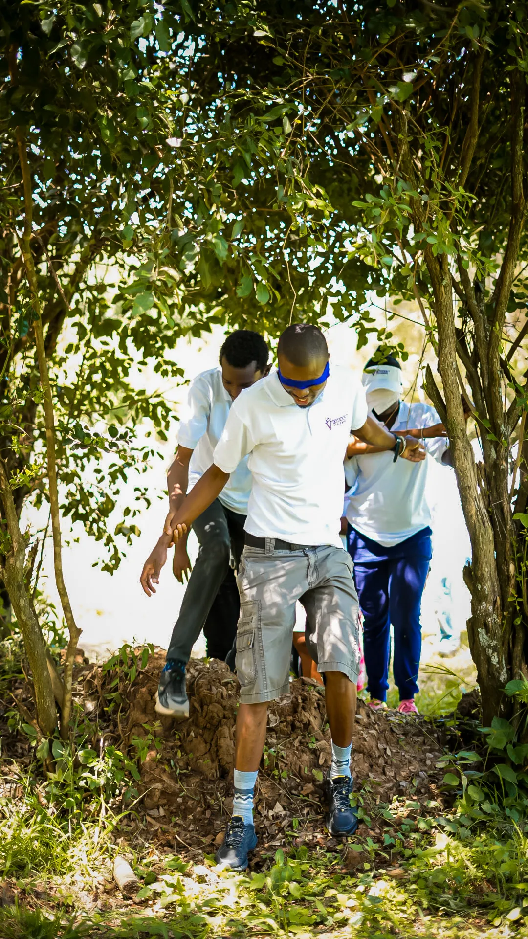 Team building — guided trust activities under the trees